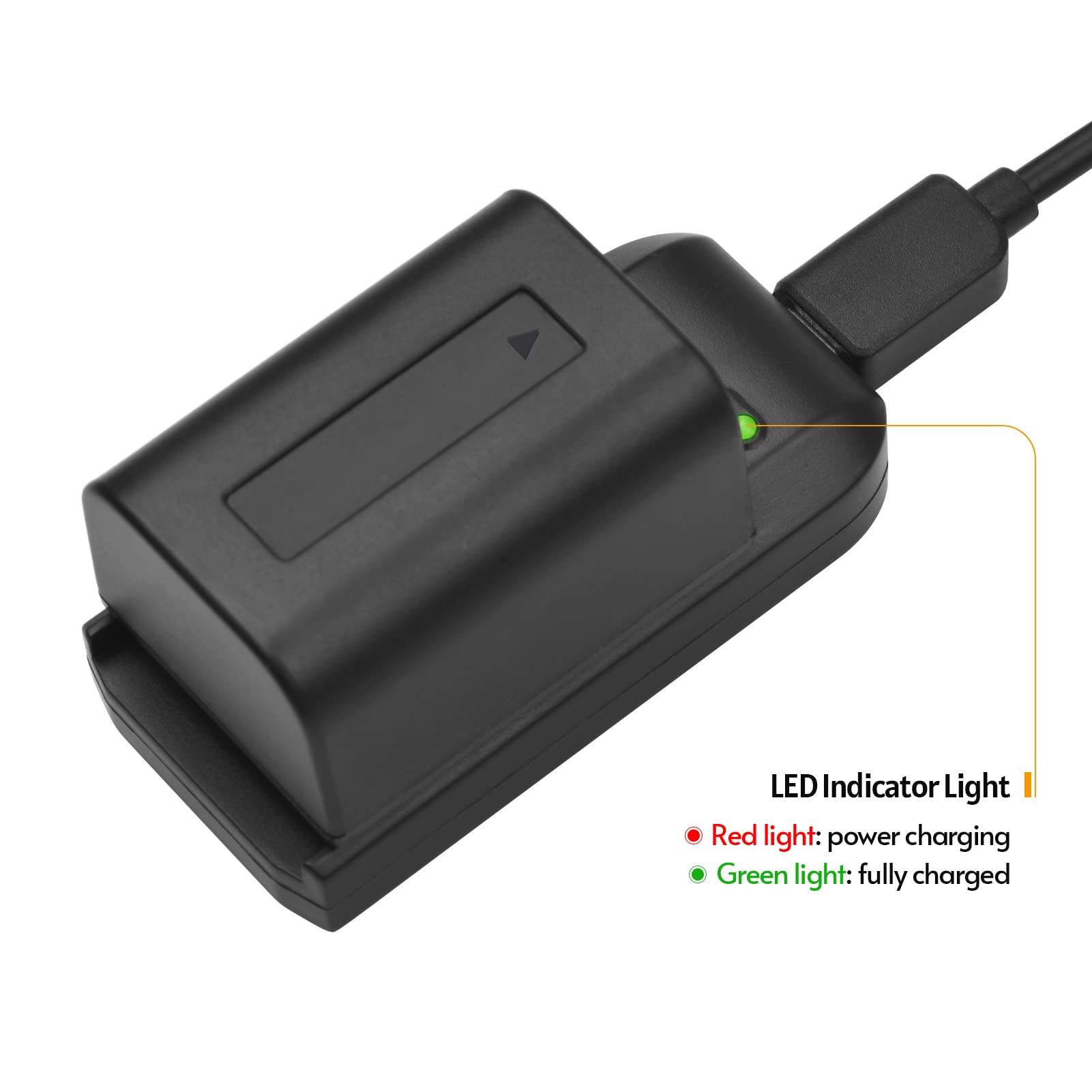 Andoer Chargeur de batterie NP-FV5 avec voyant LED + 2 batteries NP-FV5 Plus 3,7 V 1000 mAh avec câble de charge USB