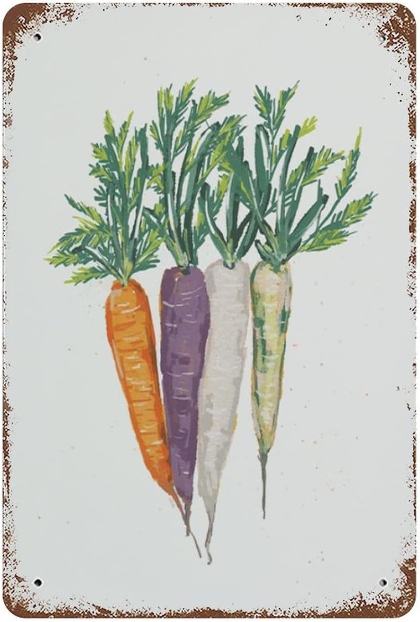 Metall-Blechschild Mit Karotte Design - Vintage Wanddekoration 20x30cm