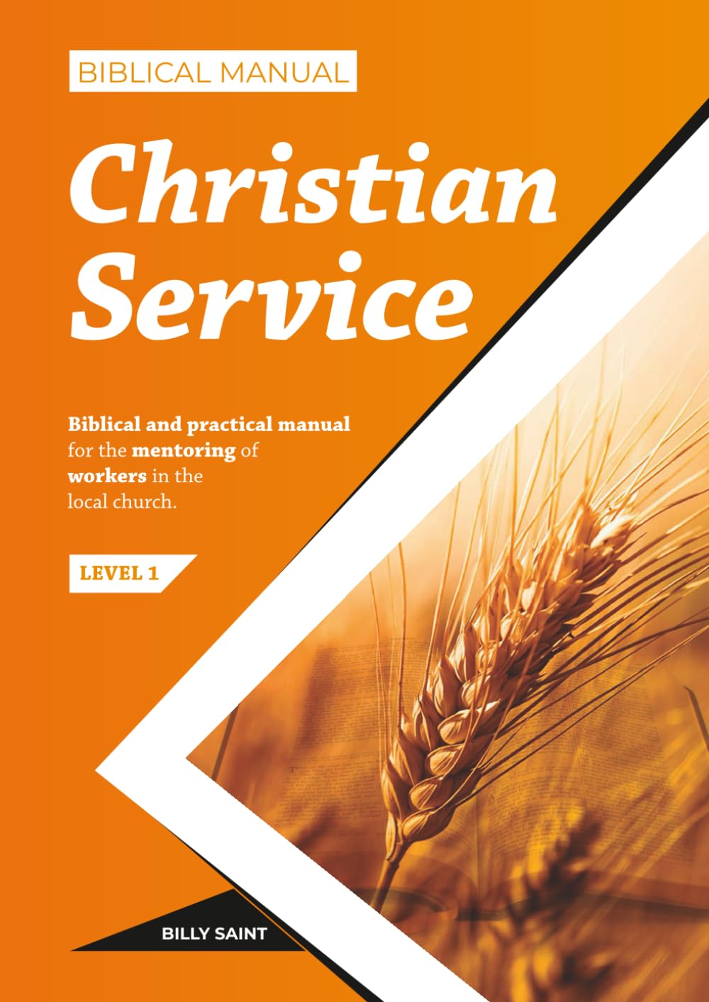 Biblical Manual of Christian Service: Mentoring of Christian workers (Biblical Discipleship and Mentoring)