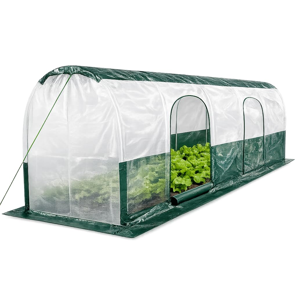 Bio Green Super Dome Tunnel de Protection Vert Transparent