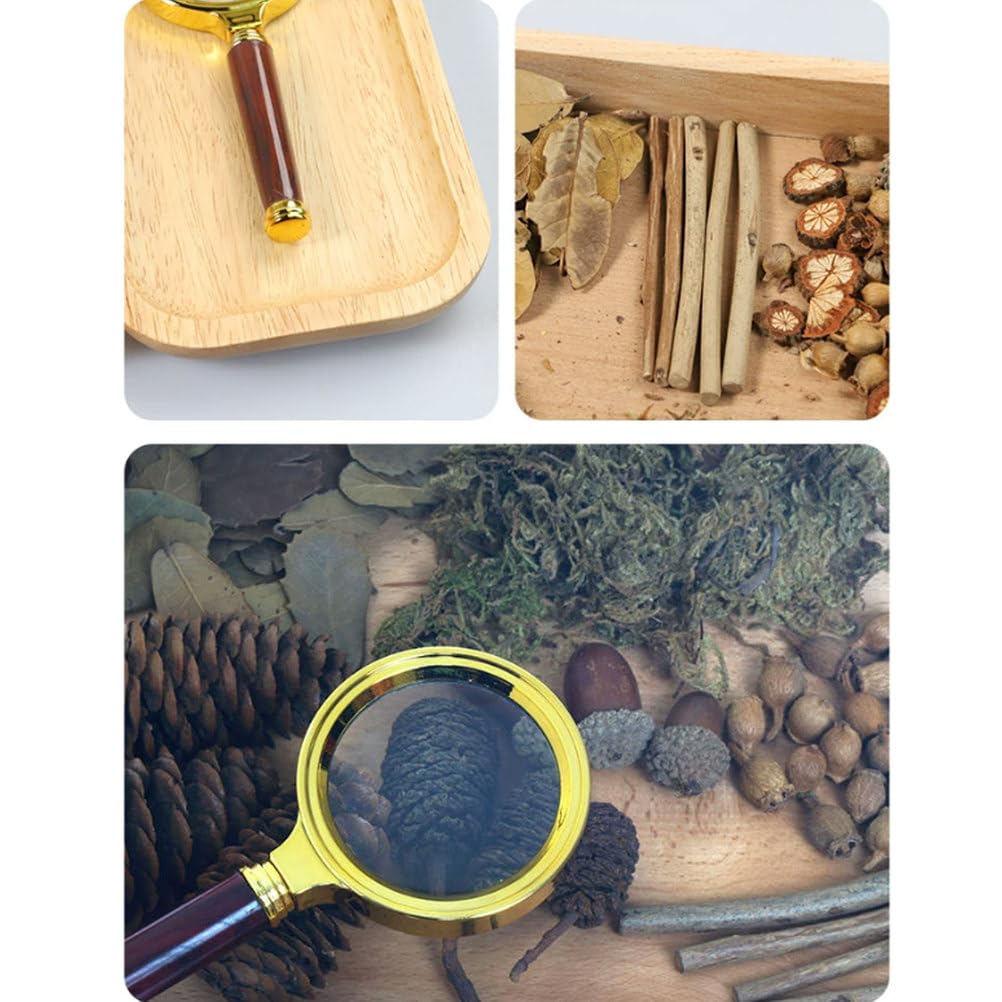 Zestaw naukowy do obserwacji przyrody Montessori, lupa z zestawem naturalnych przedmiotów, taca do eksploracji sensorycznej