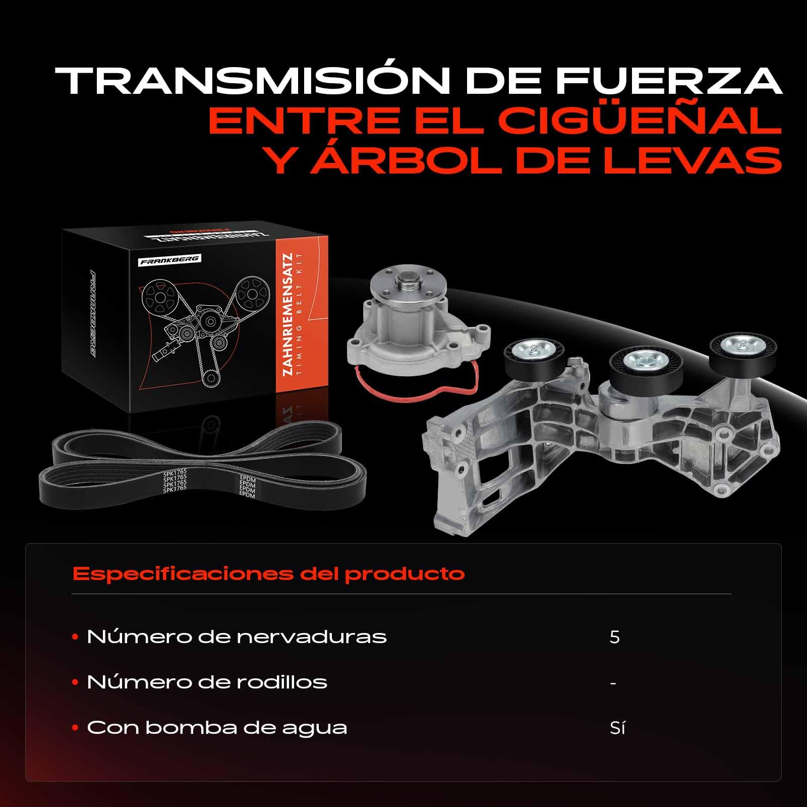 Frankberg Kit de correa de distribución correa de distribución bomba de | Compatible con: Clase B W245, Clase A W169