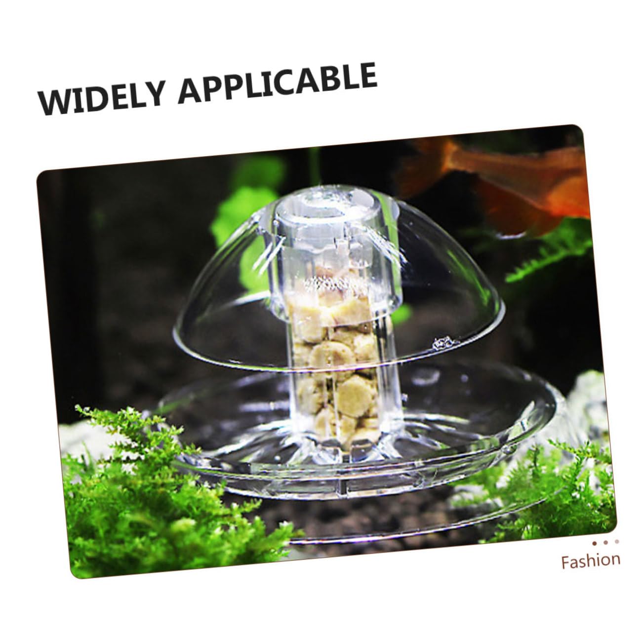 BESPORTBLE 12pièces Outil Pratique De Capture Escargots pour Aquarium Piège Réutilisable Plastique pour Éliminer Escargots Petit De Diamètre