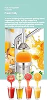 Vista 3 de Exprimidor de hierro fundido, prensa manual de hierro fundido, extractor de jugo de prensa manual resistente para jugo de naranja de limonada Style-B