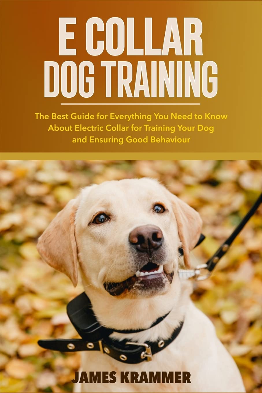 E COLLAR DOG TRAINING: The Best Guide for Everything You Need to Know About Electric Collar for Training Your Dog and Ensuring Good Behaviour