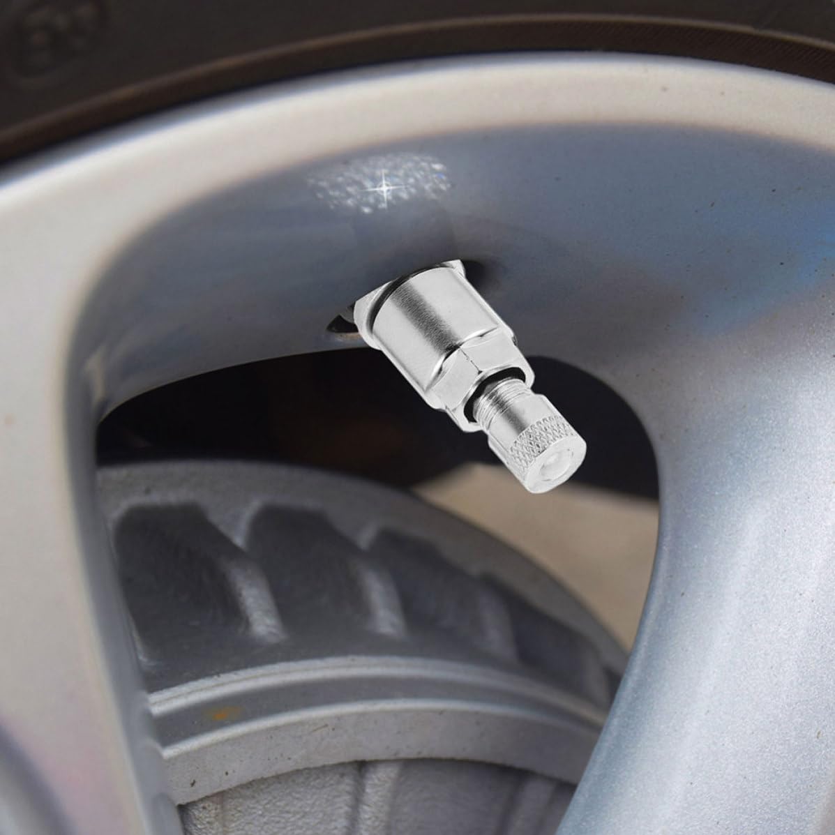 TOPBATHY 48 Pièces Tige de Valve de Pneu à Visser en Acier Inoxydable