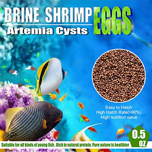 Brine Shrimp Eggs For Aquatic Foods Baby & Fry Foods The Popular 90% Hatch Gsl Brine Shrimp Eggs (0.5 Oz) #TOP1
