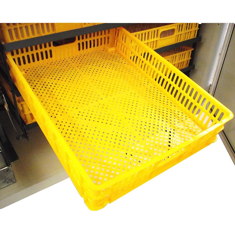 Easy Media cestello di schiusa per Uova di Gallina, Anatra, quaglia, Oca per incubatrici Professionali