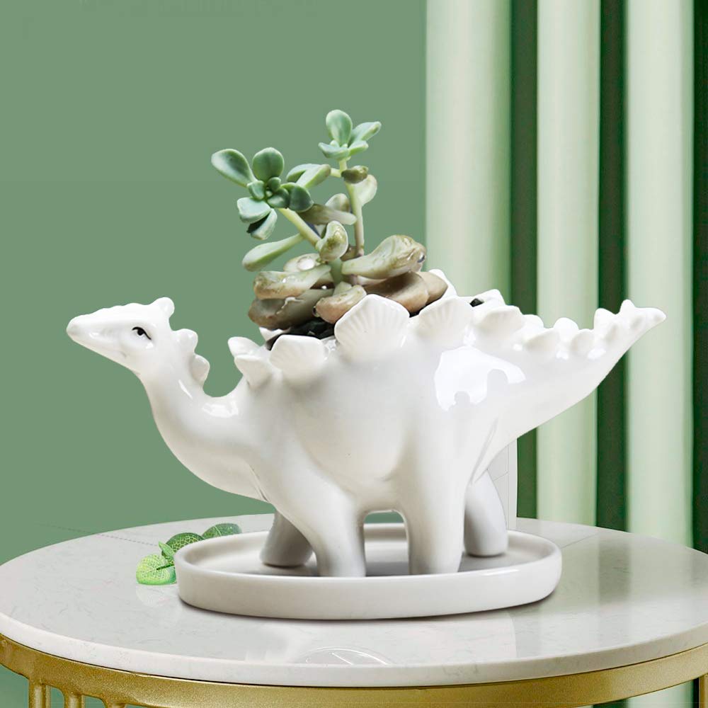 Simpatico gatto giardino in ceramica vaso da fiori immagine animale piante di Cactus fioriera pianta succulenta contenore ornamenti da tavolo decorazione  15