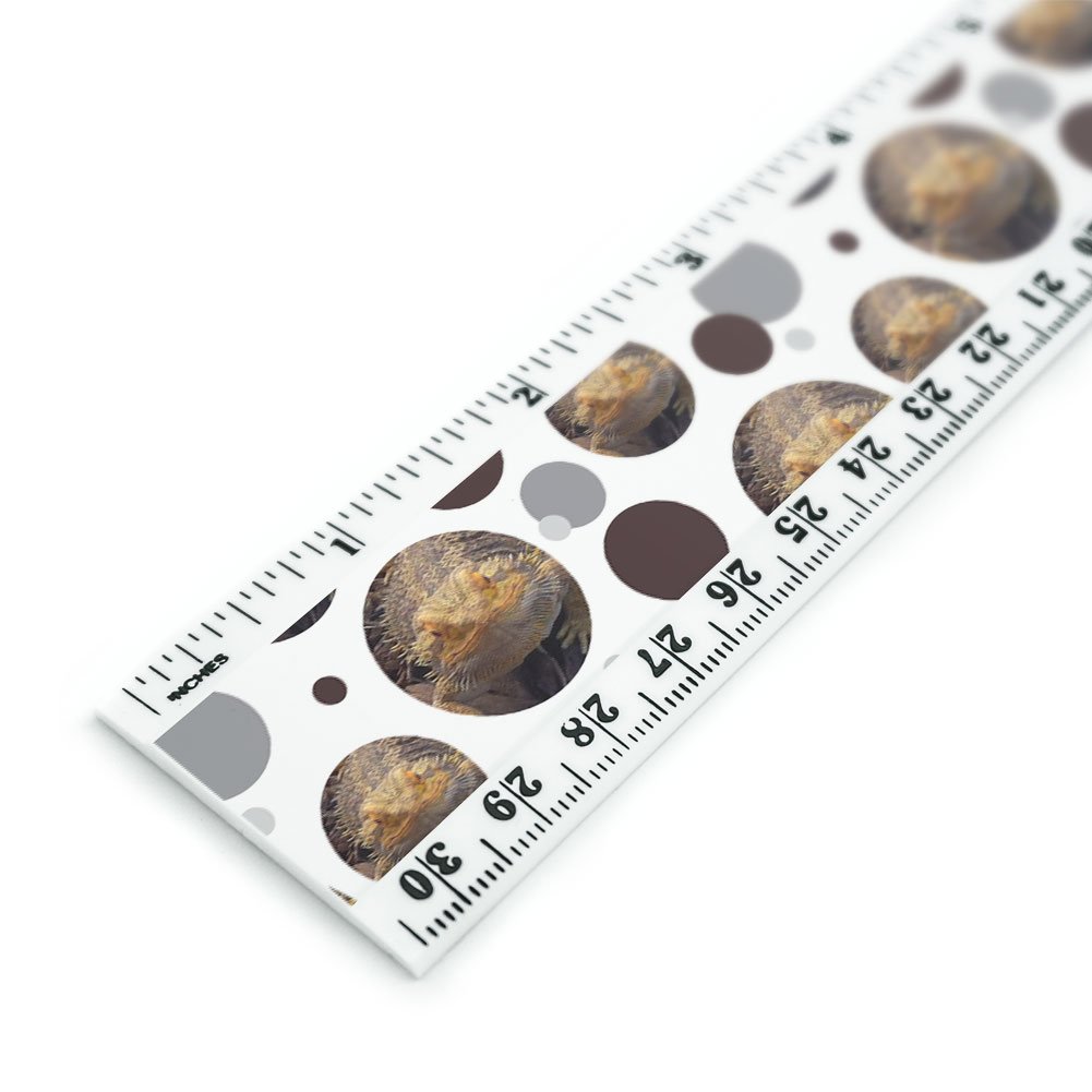 Bearded Dragon Beardie Lizard Reptile 12 Inch Standard and Metric Plastic Ruler