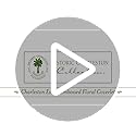 Charleston Estate Modern Farmhouse Floral Matelasse Coverlet with Scalloped Edges, 100% Cotton Breathable Bedding, King/Cal King, White Floral