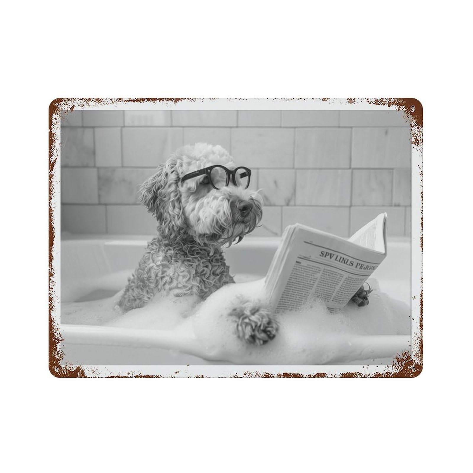 xiaoxiaoshen Goldendoodle Bathtub Funny Doodle Dog in Tub, Reading Newspaper Wall Decor Art Metal Tin Poster Modern Home Decor Art Home Bar Shop Decorations Vintage Sign 30x40cm