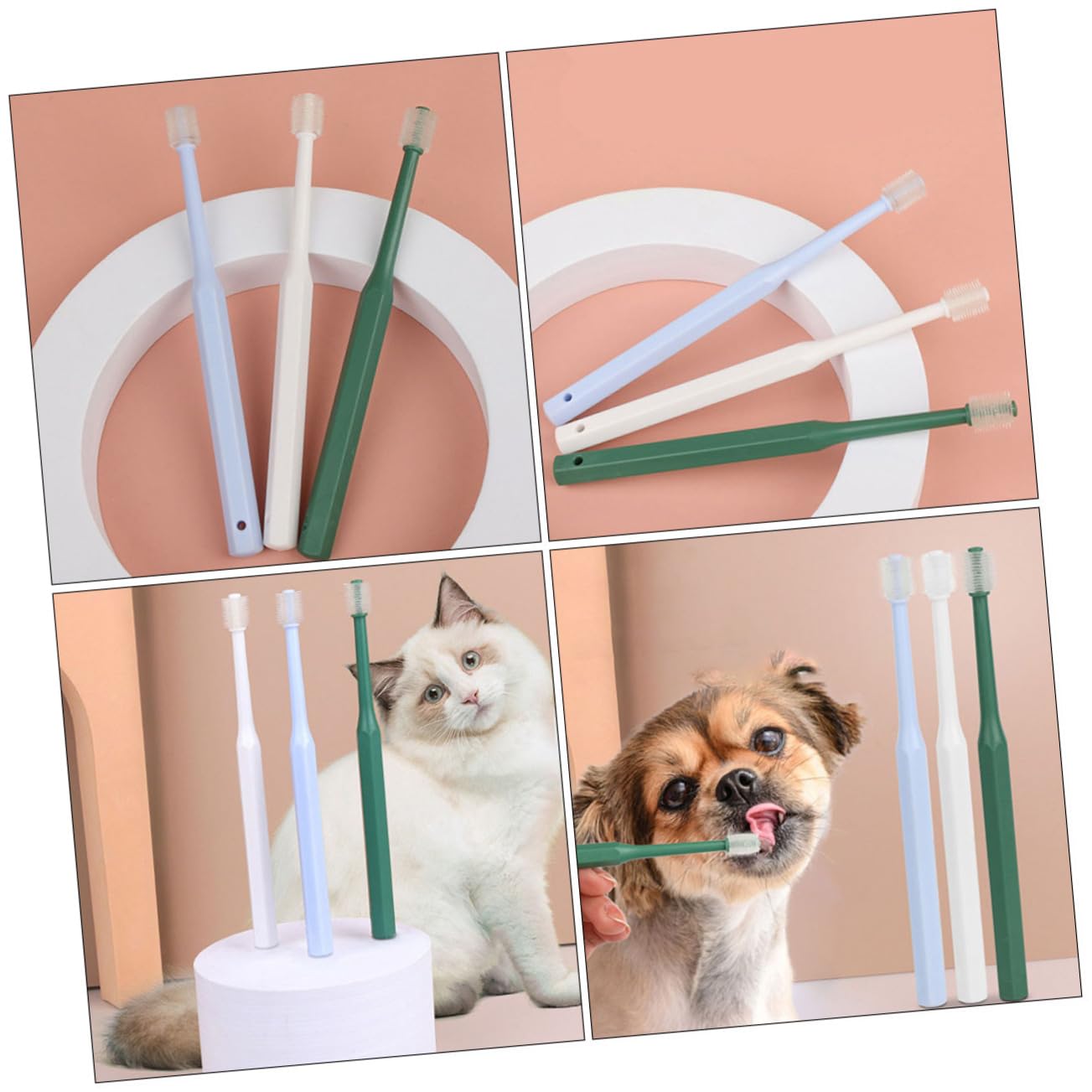 Housoutil 12pezzi Spazzolini Da Denti Per Animali Domestici Con Manico Lungo Spazzolino Ergonomico Per Pulizia Di Cani e Gatti Comodo Per Igiene Orale Pets