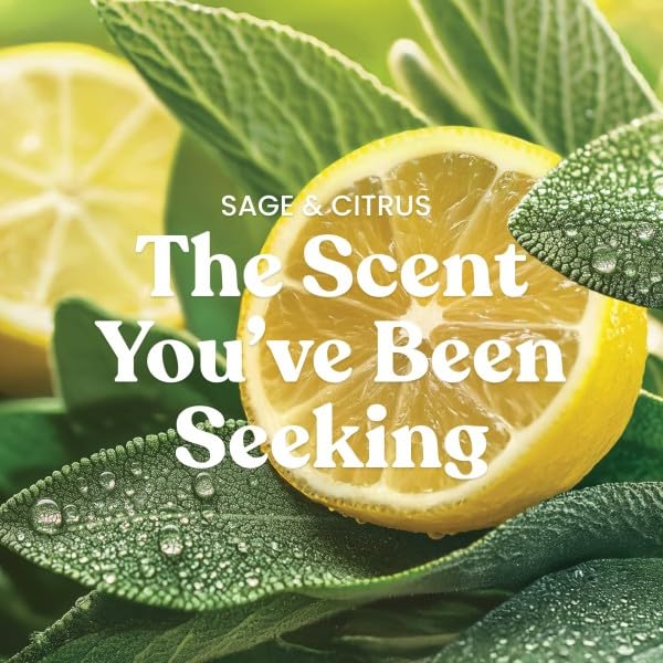 Amazon.com: Yankee Candle Small Tumbler Jar Candles, Lemon