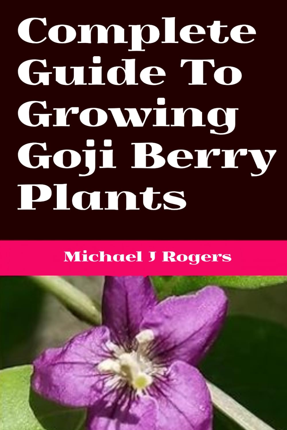 Complete Guide To Growing Goji Berry Plants: Local Growing Information For Sydney Australia, A Complete Guide To Grow Goji Berries At Home.
