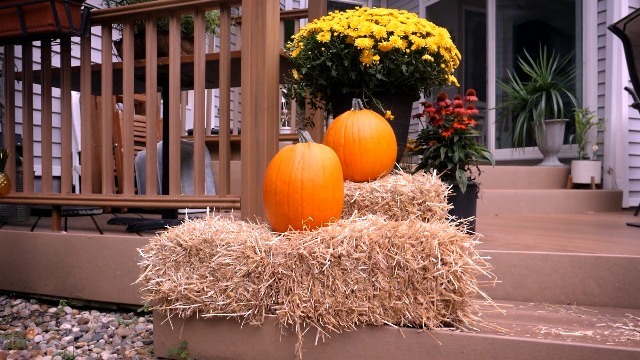 Teegxddy 9 Pièces Halloween Paille Noir Et Blanc Avec 9 Types