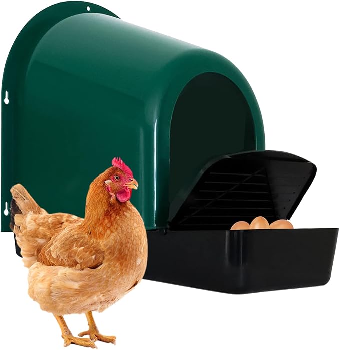 5 Pack Nesting Boxes for Chicken Coop Chicken Nesting Box