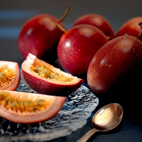 パッションフルーツ 10個 栽培期間中農薬不使用 有機肥料 南国フルーツ トロピカルフルーツ 果物 果肉 果実 家庭用 おいしい 甘酸っぱい 健康 新鮮 くだもの 季節の果物 旬 夏 贈り物 果樹