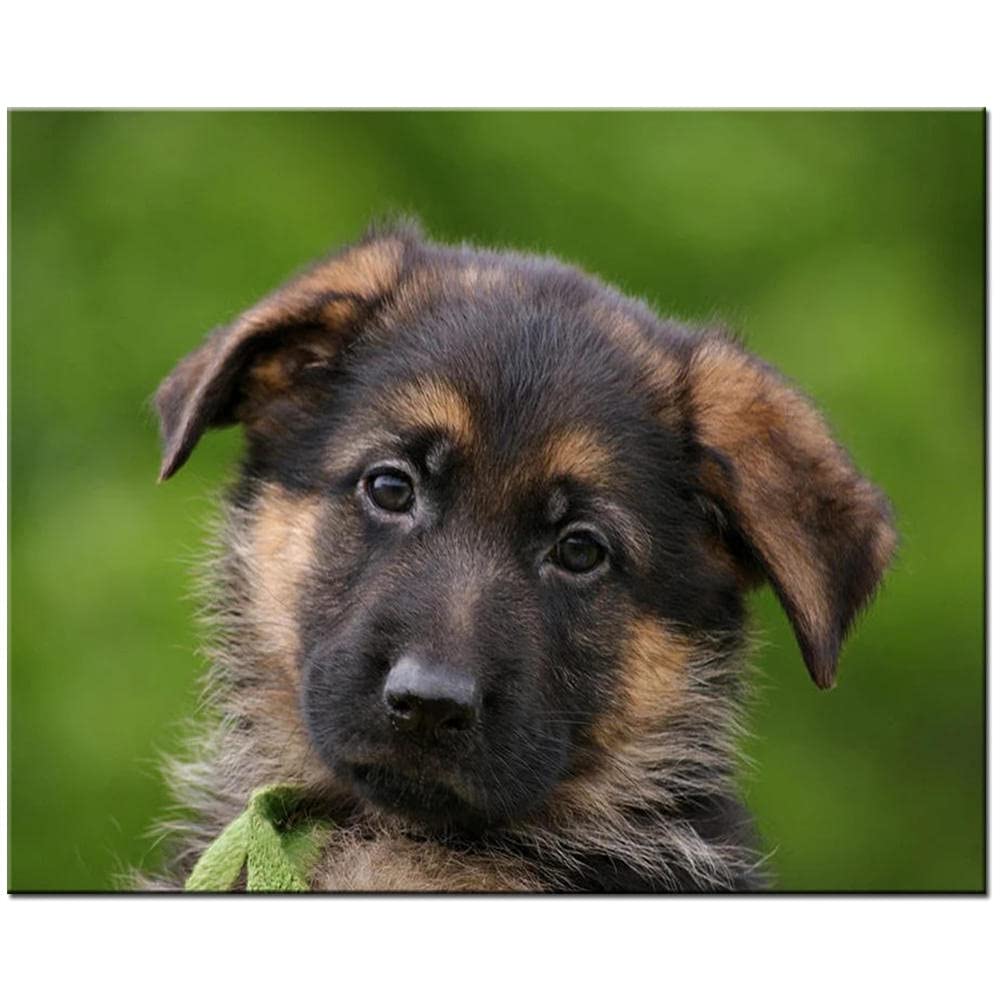 DIY 5D Diamantmalerei Set – German Shepherd Motiv 60x100 Cm, Full Drill, Inkl. Werkzeuge