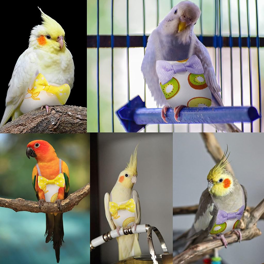 ZIBUYU® 2PC Reusable Washable Parrot Diaper, Budgie Jumpers, Adorable Bow Banana Print Budgie Diaper Bird Flight Suit, Elastic Straps Design, Lightweight & Comfort, Size M 4