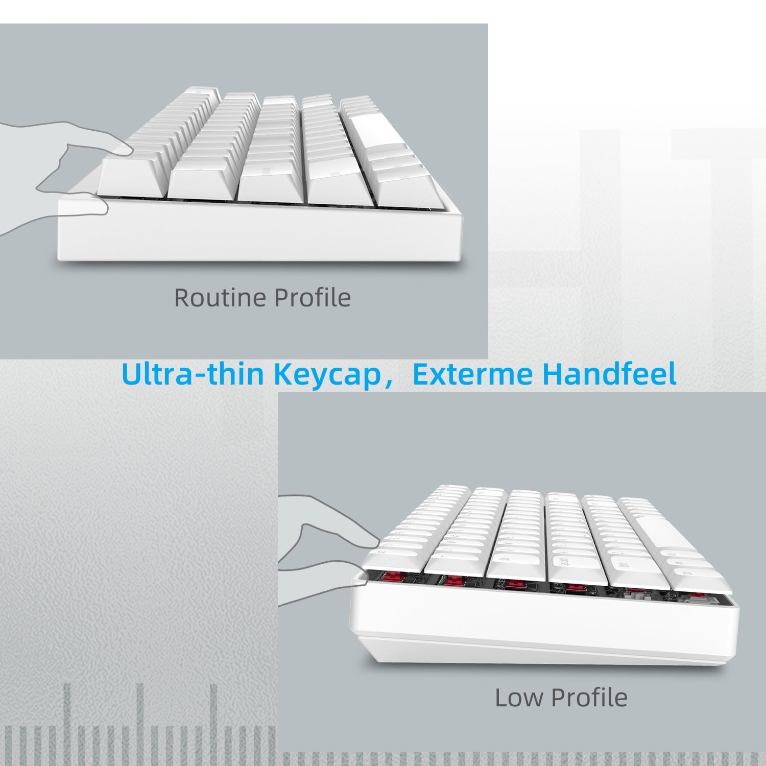 118 Tasti a basso profilo, Keycaps Copritasti Shine Through, Copritasti a grandezza naturale ANSI US al 75% per 60% 65% 75% 80% 100% Cherry Gateron MX Switch Tastiera meccanica, Bianca