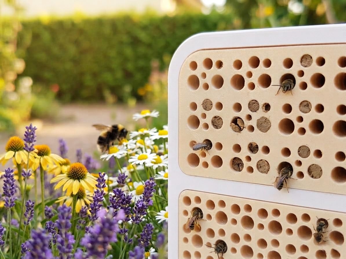 Wildbienenhotel/Bienenhotel für Garten & Balkon - Nisthilfe für Wildbienen - Insektenhotel mit Nistblöcken - Urbanes Bienenhaus - Unterstützung für Bestäuber