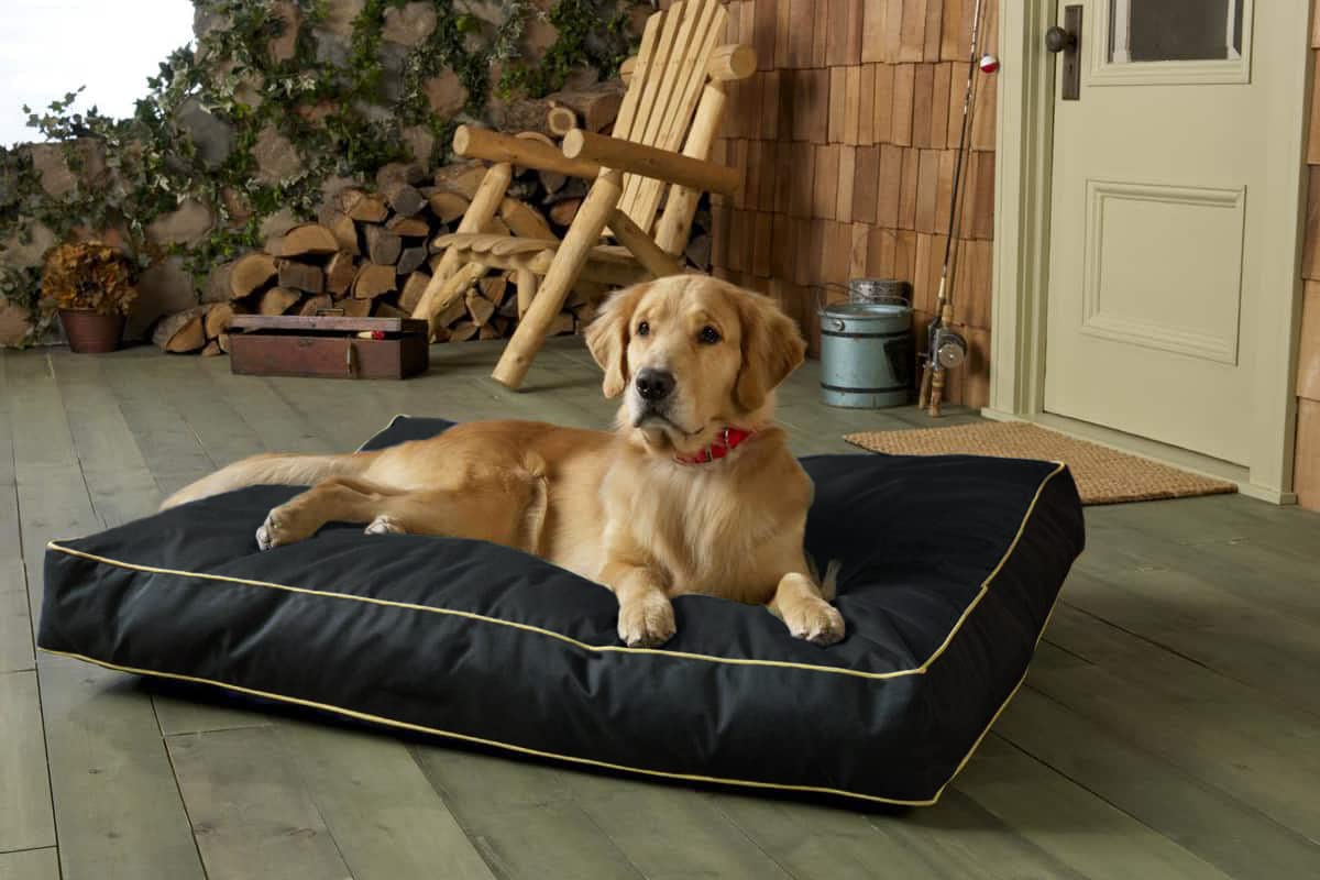 Funda de Cama para Perro de 76 cm de Largo x 50 cm de Ancho x 10 cm de Alto. Fundas de Repuesto para Cama de Perro Oxford Resistentes y duraderas con Cremallera. Funda Protectora de colchón