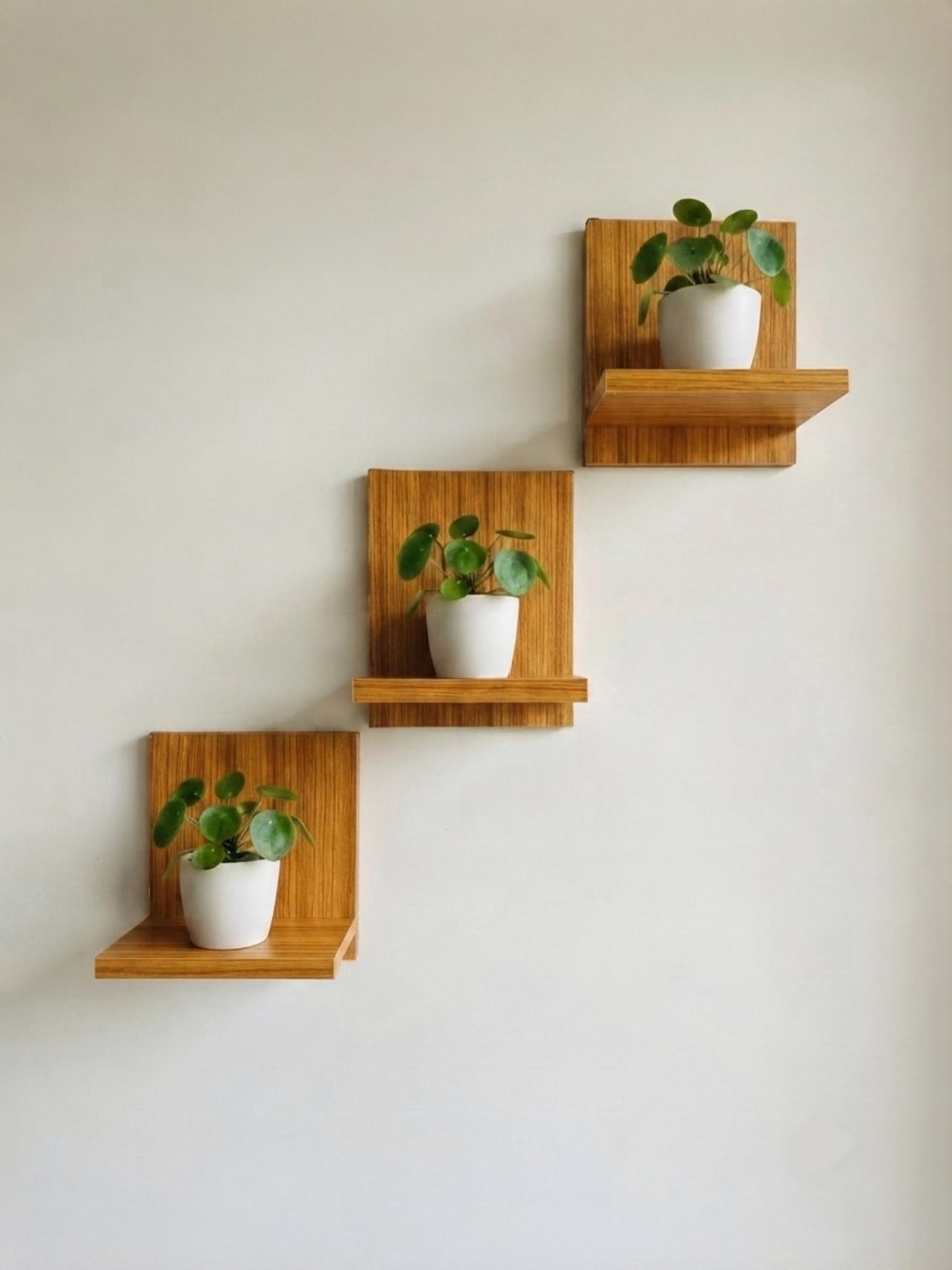 Nitriva Engineered Wood Floating Shelves for wall Decor Wall Shelf Storage Organizer | Mini Display Shelf for Living Room, Bathroom, Kitchen & Bedroom Décor Pack of 3-picture-28