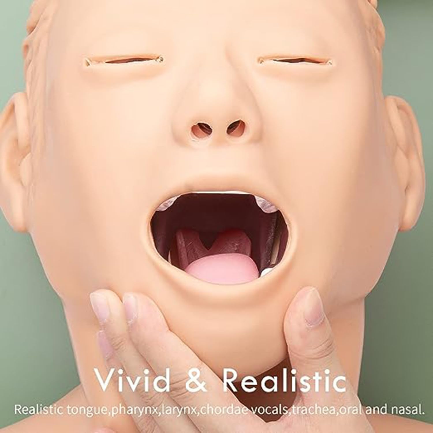 Intubación Maniquí Entrenamiento Enfermería Maniquí PVC Intubación Oral Nasal Maniquí Con Diente Alarma Dispositivo Simulador Manejo Vía Aérea Entrenador Intubación Cabeza Enseñanza Enseñó