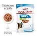 ROYAL CANIN X-Small Puppy | Doppelpack | 2 x 12 x 85 g | Feuchtnahrung für besonders kleine Hundewelpen | Bis zum 10. Lebensmonat | Mit Häppchen in Soße | Im Pouchbeutel