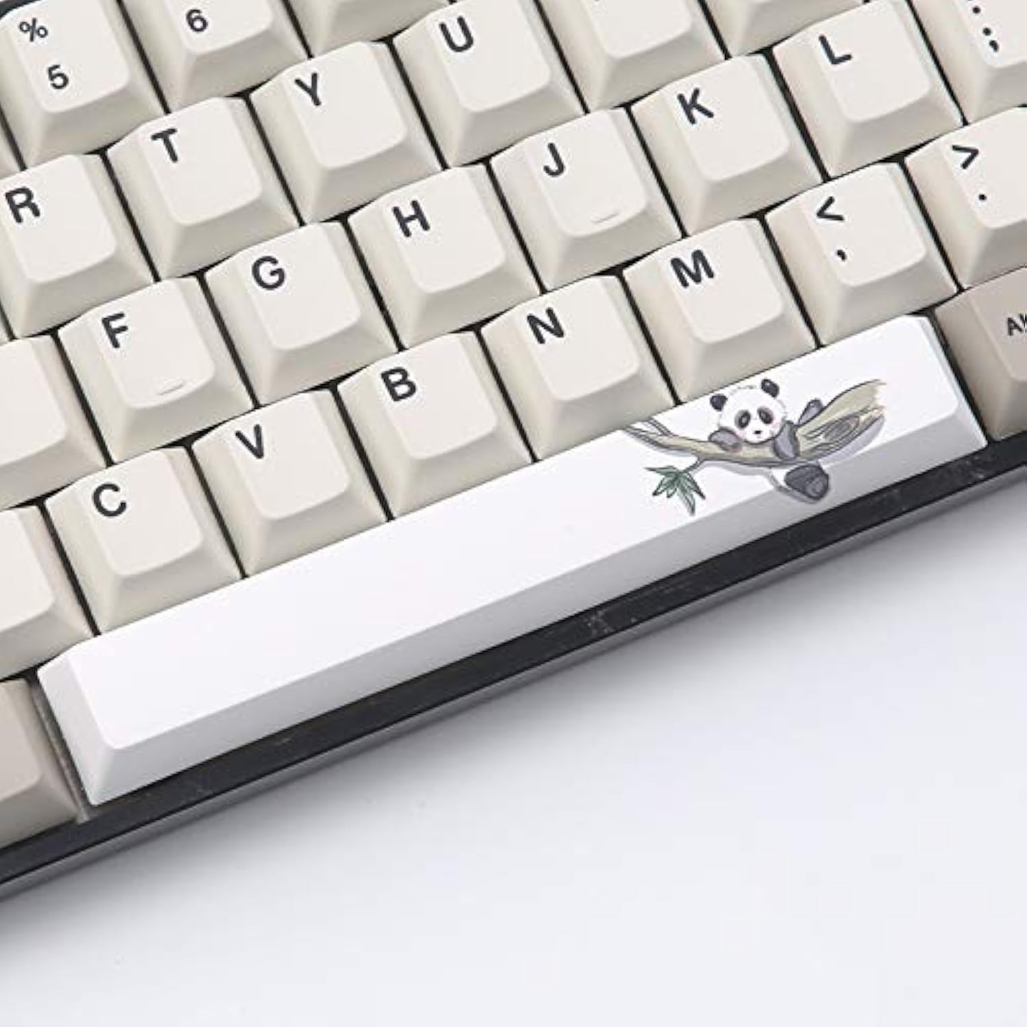 Amazon.com: Benemate 5-Side Dye-subbed PBT Spacebar Keycap Cherry ...