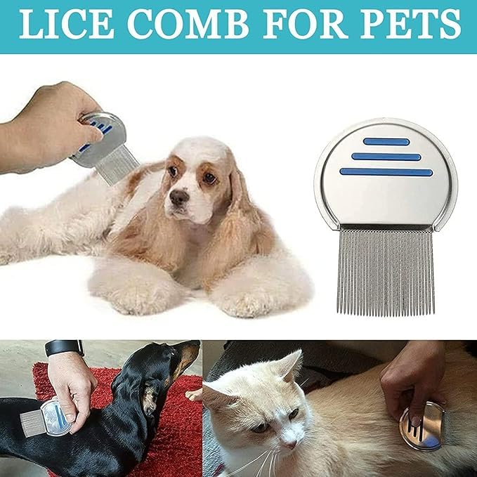 Image of Eminent Steel Lice & nits removal comb for women hair | Anti lice treatment Nit comb for lice eggs removal lice comb for Kids, Women & Men | Head lice comb eggs remover | Lies hair comb Nits & Lice remover products (Pack of 1)