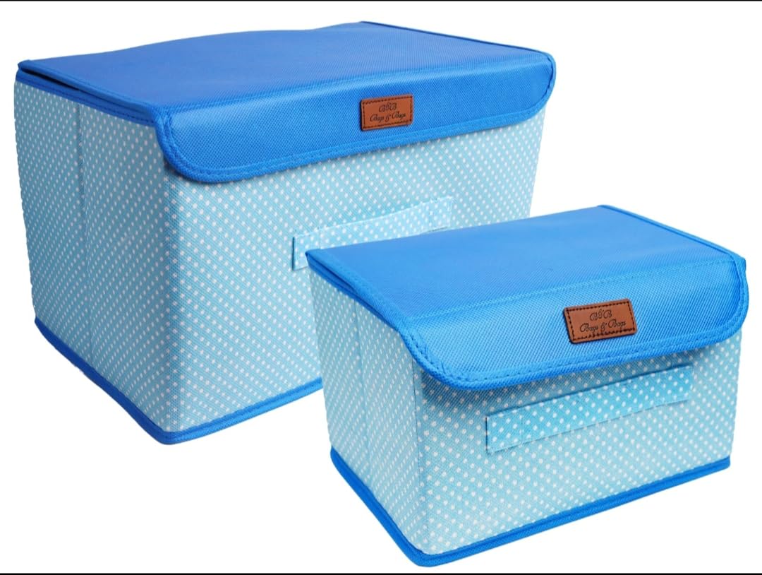 larkin bharat cover center print foldable storage container case socks holder design non woven fabric saree cover set with transparent window extra large (blue_pack of 2)