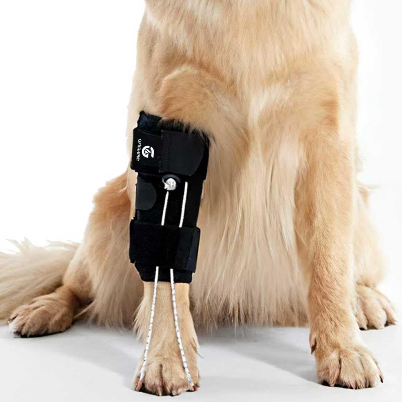 Dog Front Leg Support Brace for Foot Drop, Canine Knuckling Prevention, Toe Dragging Assistance
