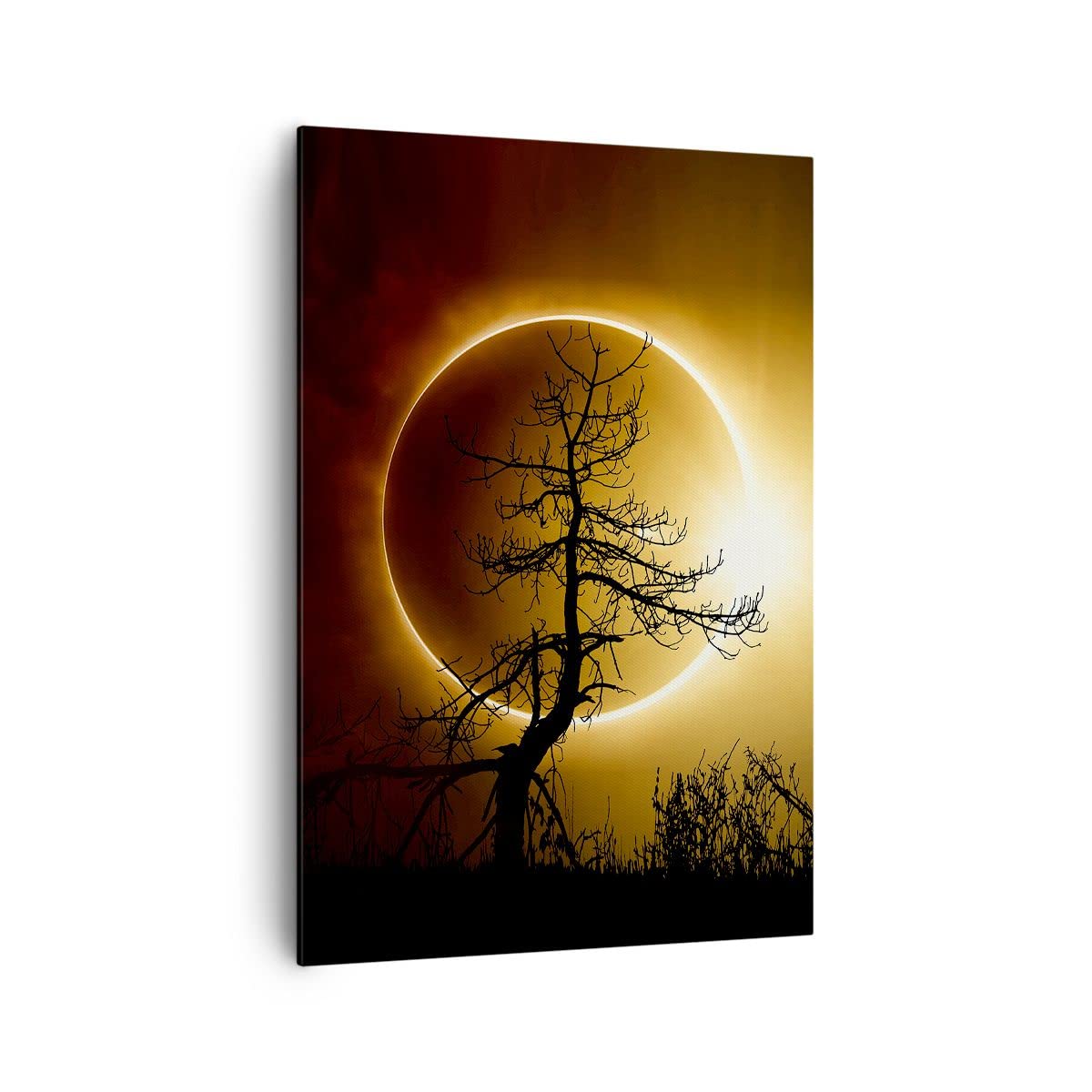 ARTTOR Stampe da Parete Moderne Verticali 70x100 cm Spazio Paesaggi - 4349 | Eclissi Sole Albero Quadro Decorativo Grande Soggiorno Camera da Letto Decorazione da Parete Arte da Parete ARTTOR