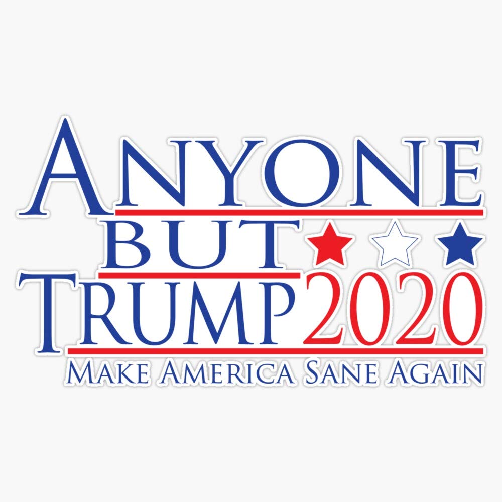 TCT Trading Anyone BUT Trump 2020 Make America Sane Again Vinyl Stickers Waterproof Decal Car, Laptop, Bumper Stickers 5