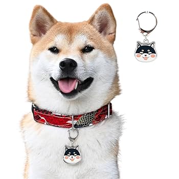 Amazon.co.jp: MEIAOJIA 犬 柴犬 しば 名札 しばけん 名札