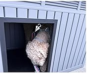 Review Image by Ben zl Ben zl