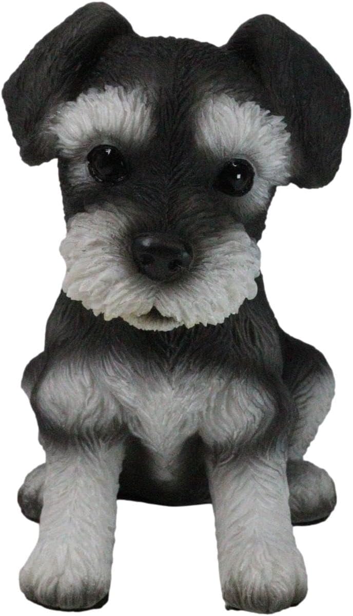 Realistic Miniature Schnauzer Puppy Statue Zimbabwe Ubuy