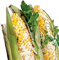 Vista 2 de Urban Accents Chipotle Parmesano Mezcla de condimentos, 2.7 oz