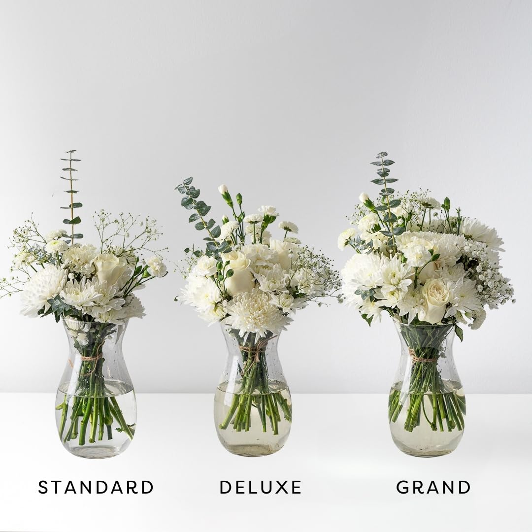 Callia Flowers - White & Green Fresh Flower Bouquet - (Standard) Hand-Tied Fresh Cut with Vase, Fresh Flowers Delivery for Birthday, Sympathy, Get Well, Floral Arrangements with Local Delivery - 5