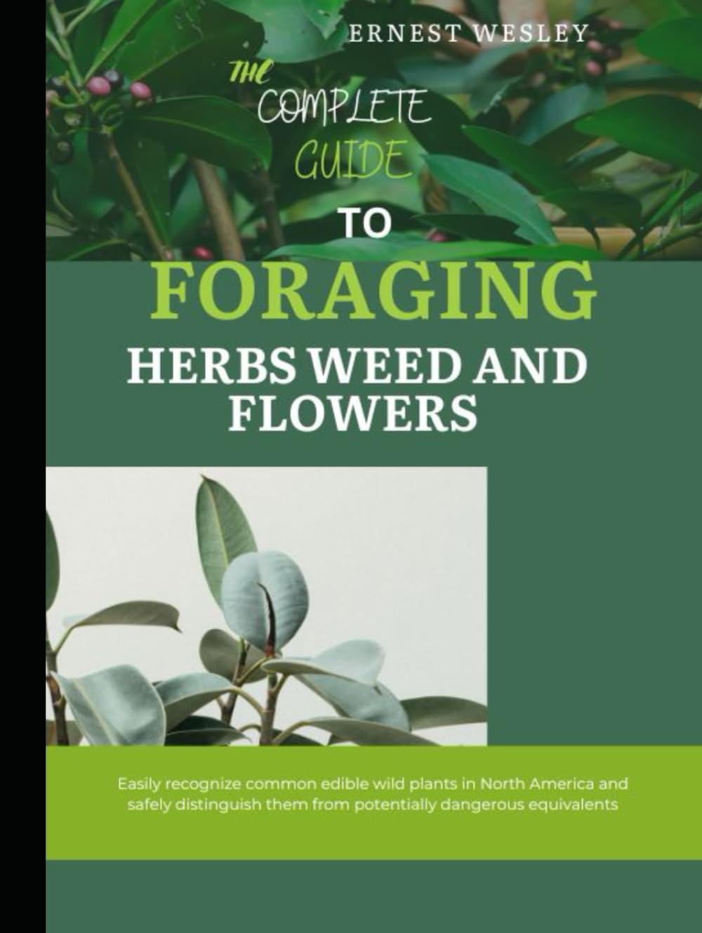 The Complete Guide to Foraging Herbs, Weeds, and Flowers: Easily recognize common edible wild plants in North America and safely distinguish them from potentially dangerous equivalents