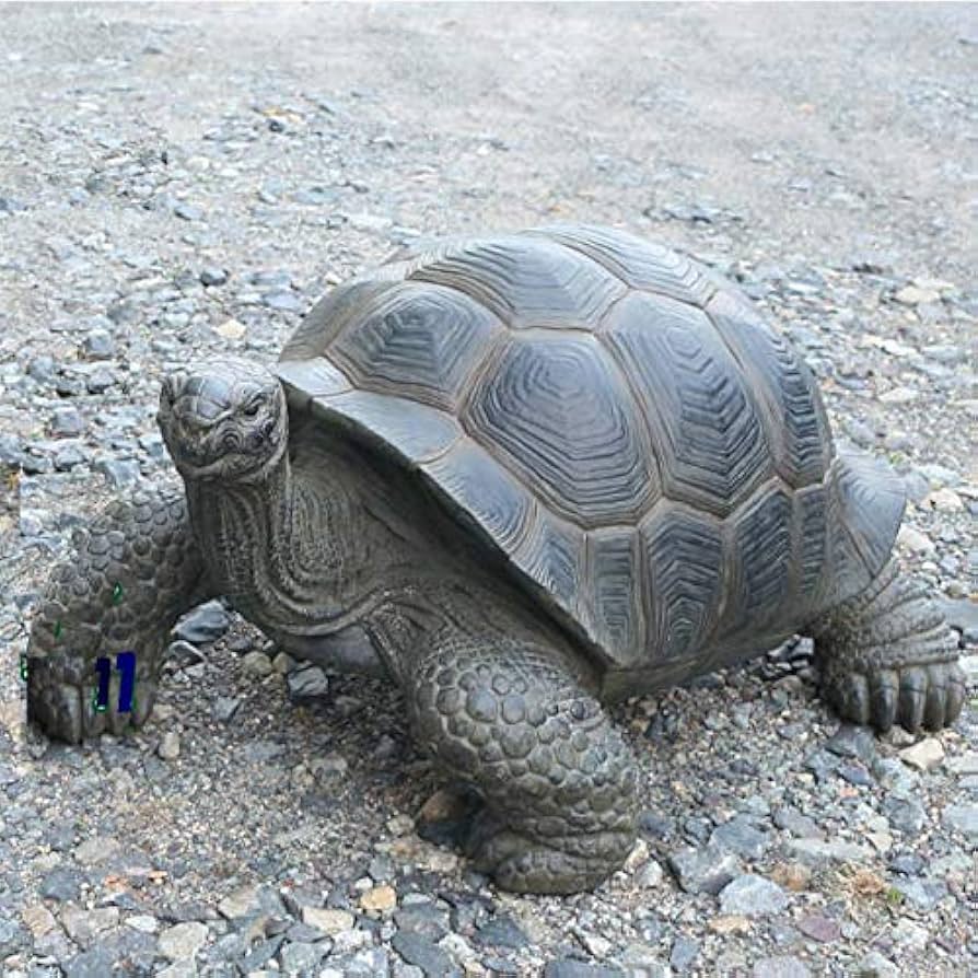 亀　置物 Amazon.co.jp: ZHIZHUO 亀の置物 カメ かわいい 置物 金の亀