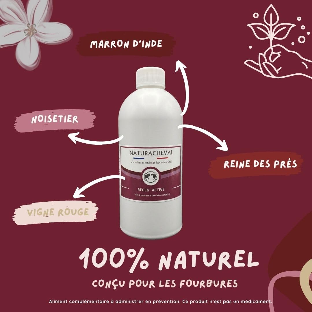 Circulation Cheval & Engorgement – Complément Naturel Retour veineux – Soulage Membres gonflés & lourdeurs – Soutien fourbure & œdèmes – Formule Plantes