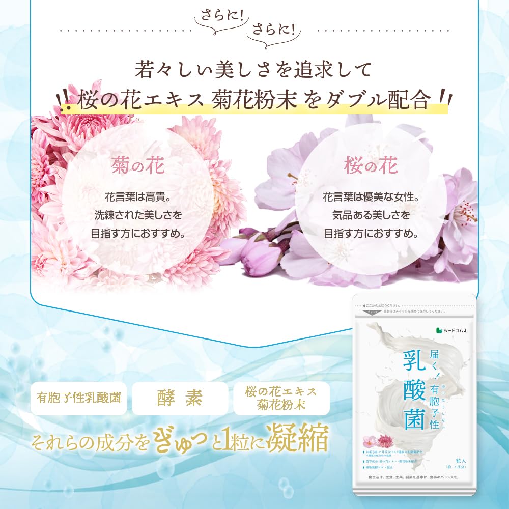 Amazon.co.jp: シードコムス 有胞子性 乳酸菌 サプリメント 約3月分 90
