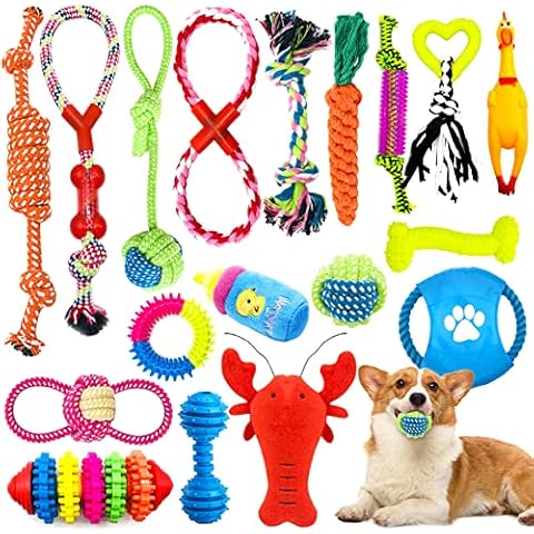 JOYBOY Jouets pour Chien 18 pièces Cover