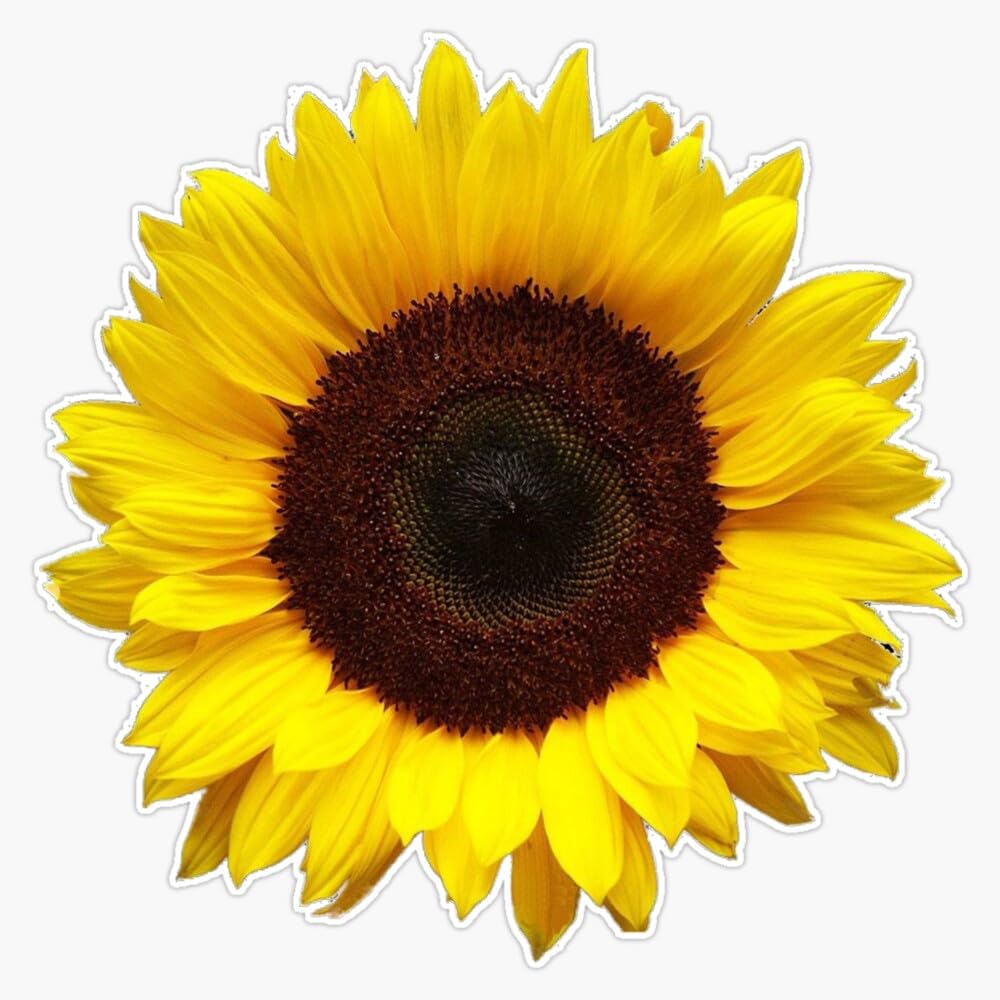 Sunflower Sticker Vinyl Waterproof Sticker Decal Car Laptop Wall Window Bumper Sticker 5