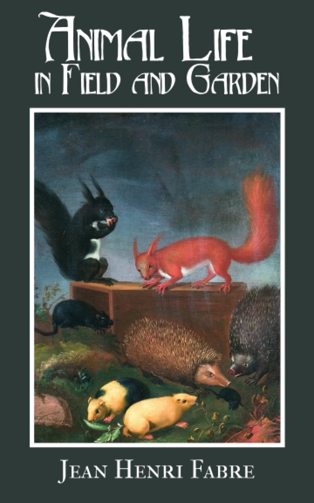 Animal Life in Field and Garden