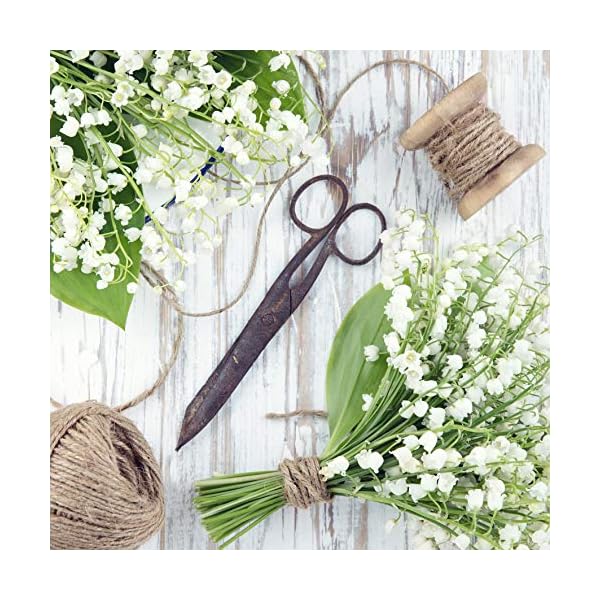 La Cordeline - Spago in iuta naturale, 2 mm, bobina da 800 m, per giardinaggio, bricolage, fai da te, CJN34 - Image 5