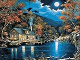 [Framless]Diy Oil Painting Paint by Number Kit for Adult Kids Home Decor Wall Pic Value Gift-Linen material- Moonlight 12x16 Inch